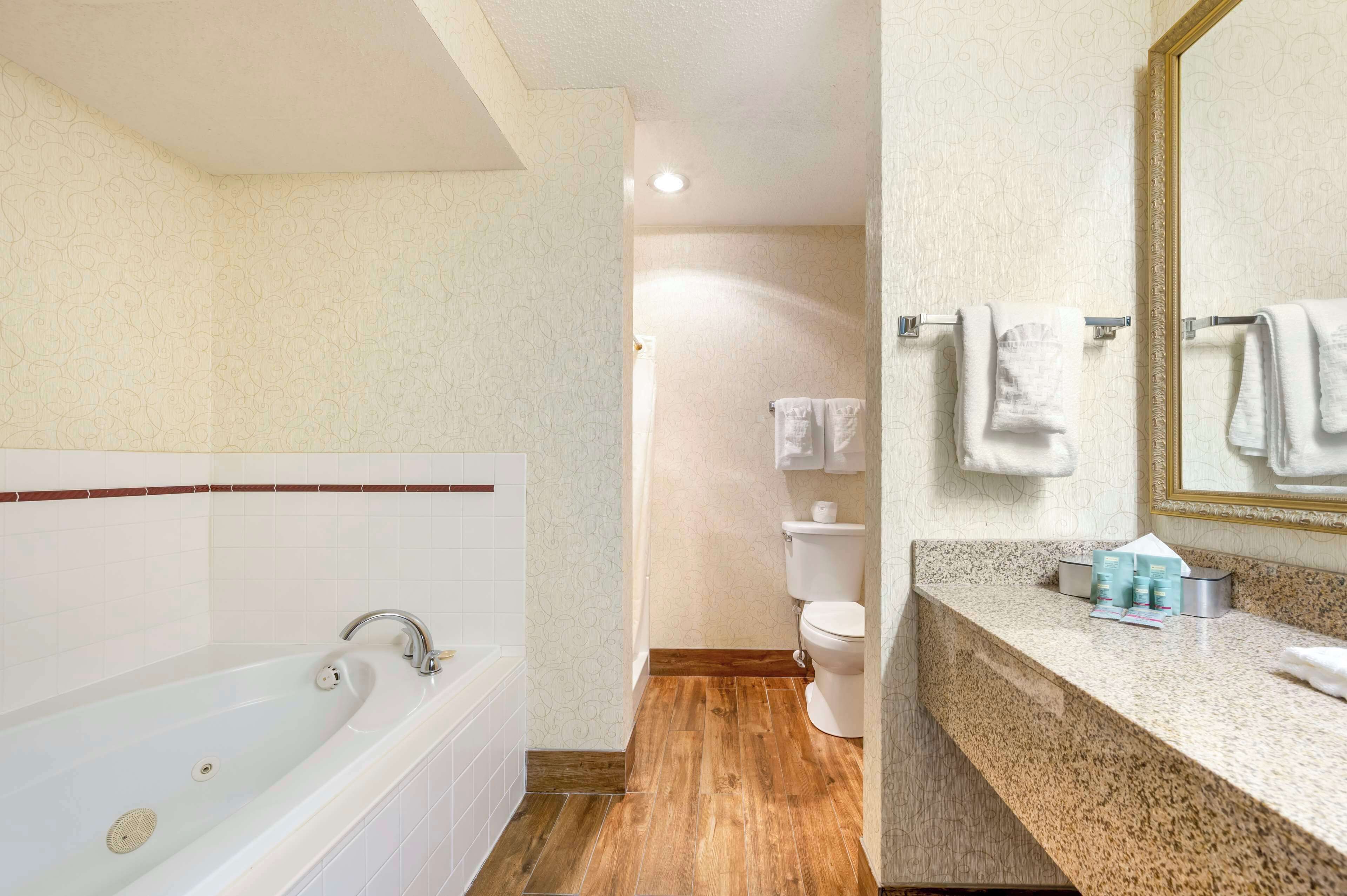 standard room, 1 king bed, non smoking, jetted tub | bathroom | deep-soaking bathtub, hydromassage showerhead, hair dryer, towels