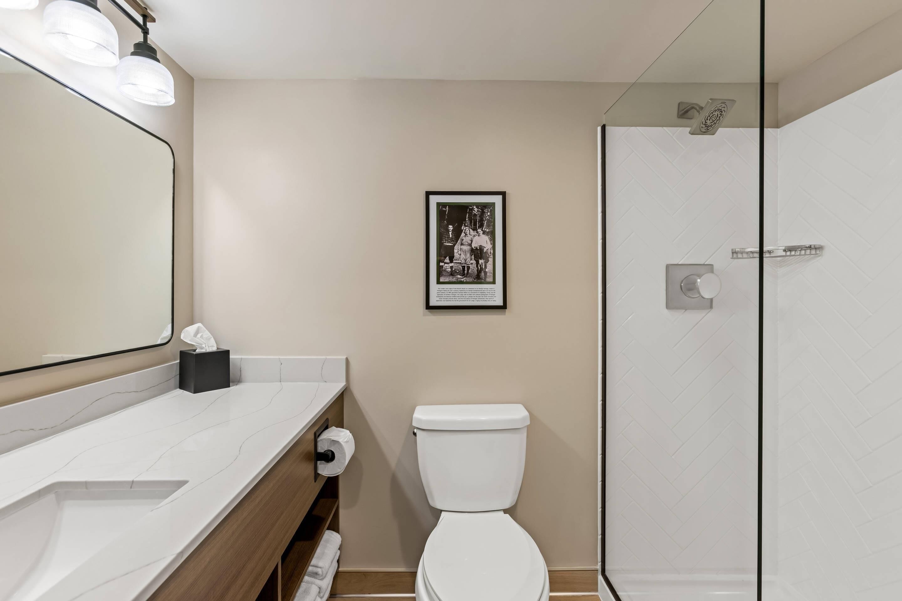 Un bagno moderno con il water, una doccia, uno specchio grande e un quadro appeso al muro.