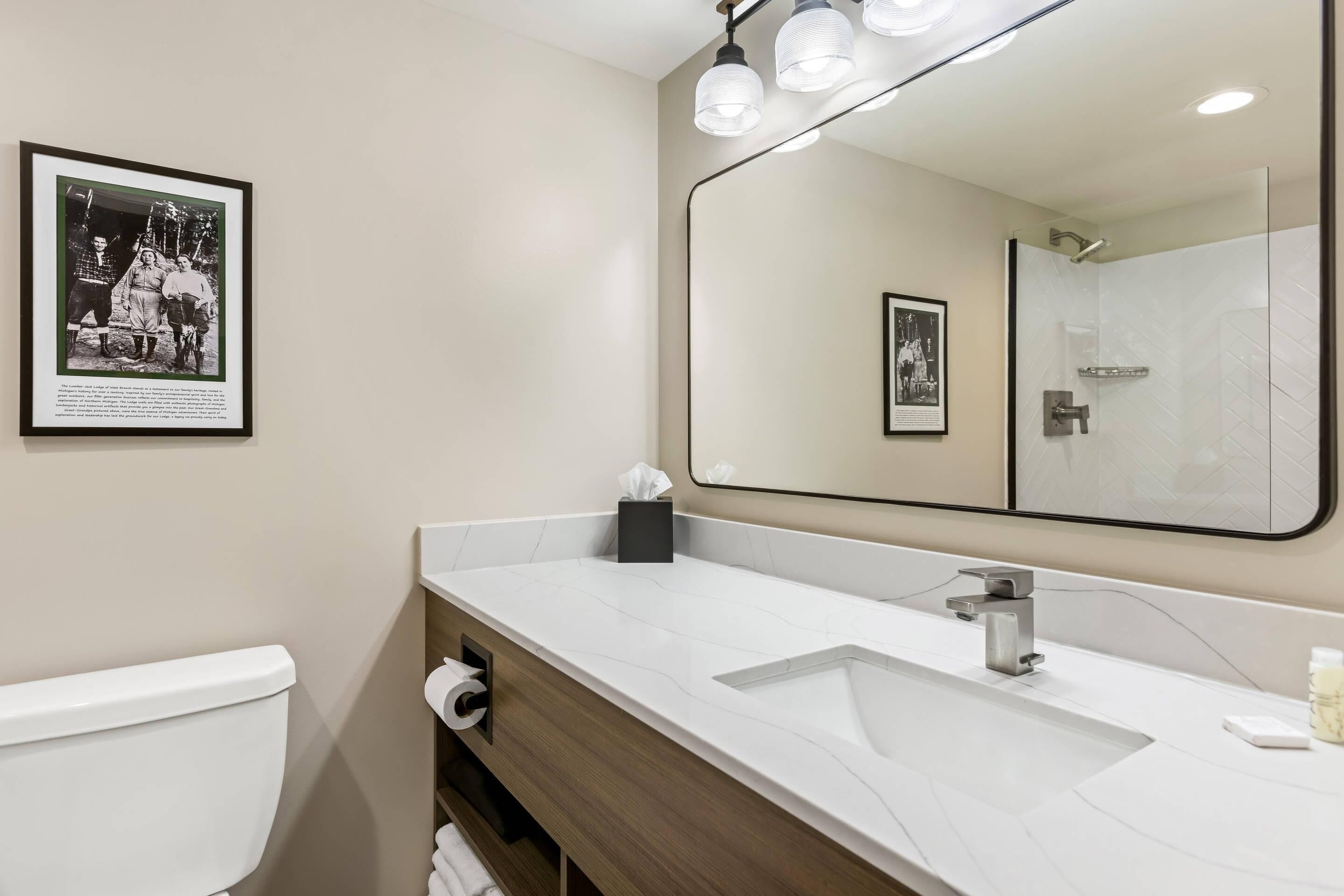 Een moderne badkamer met een grote spiegel, een witte wastafel en een toilet. Er hangt een ingelijst beeld aan de muur en er is een klein plankje met een zakdoekendoos.