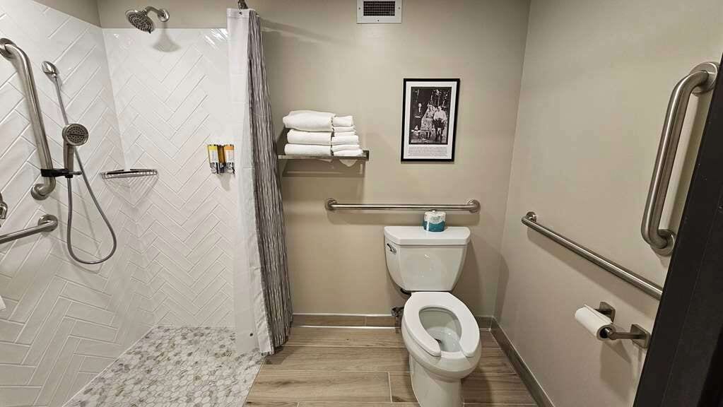A bathroom with a shower, toilet, and handrails.