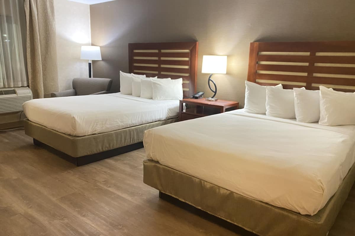 desk, rollaway beds, free wifi, bed sheets