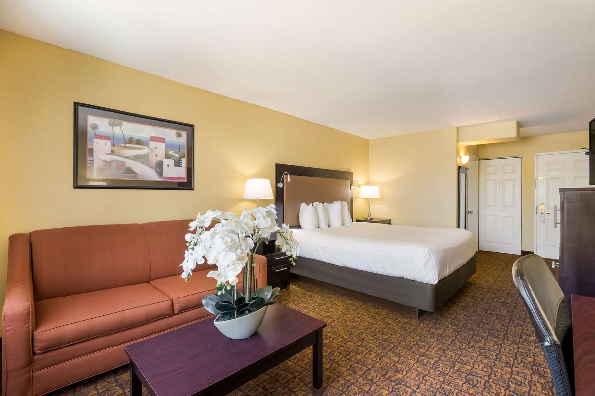 A hotel room with a bed, a sofa, a table with flowers, a painting on the wall, and a door.