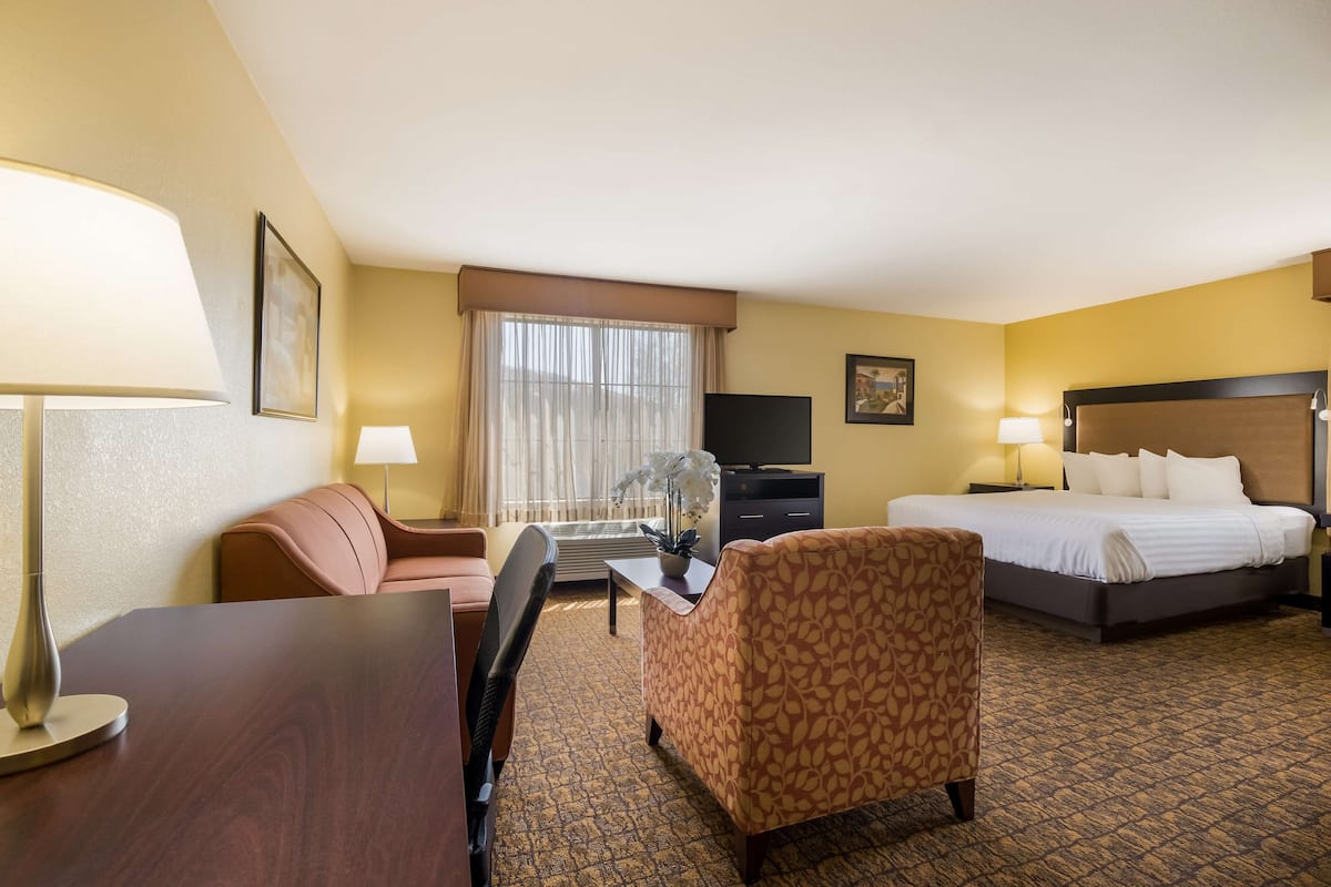 A hotel room with a bed, a desk, a chair, a TV, and a window with curtains.