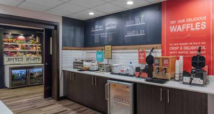 Hampton Inn Detroit/Northville