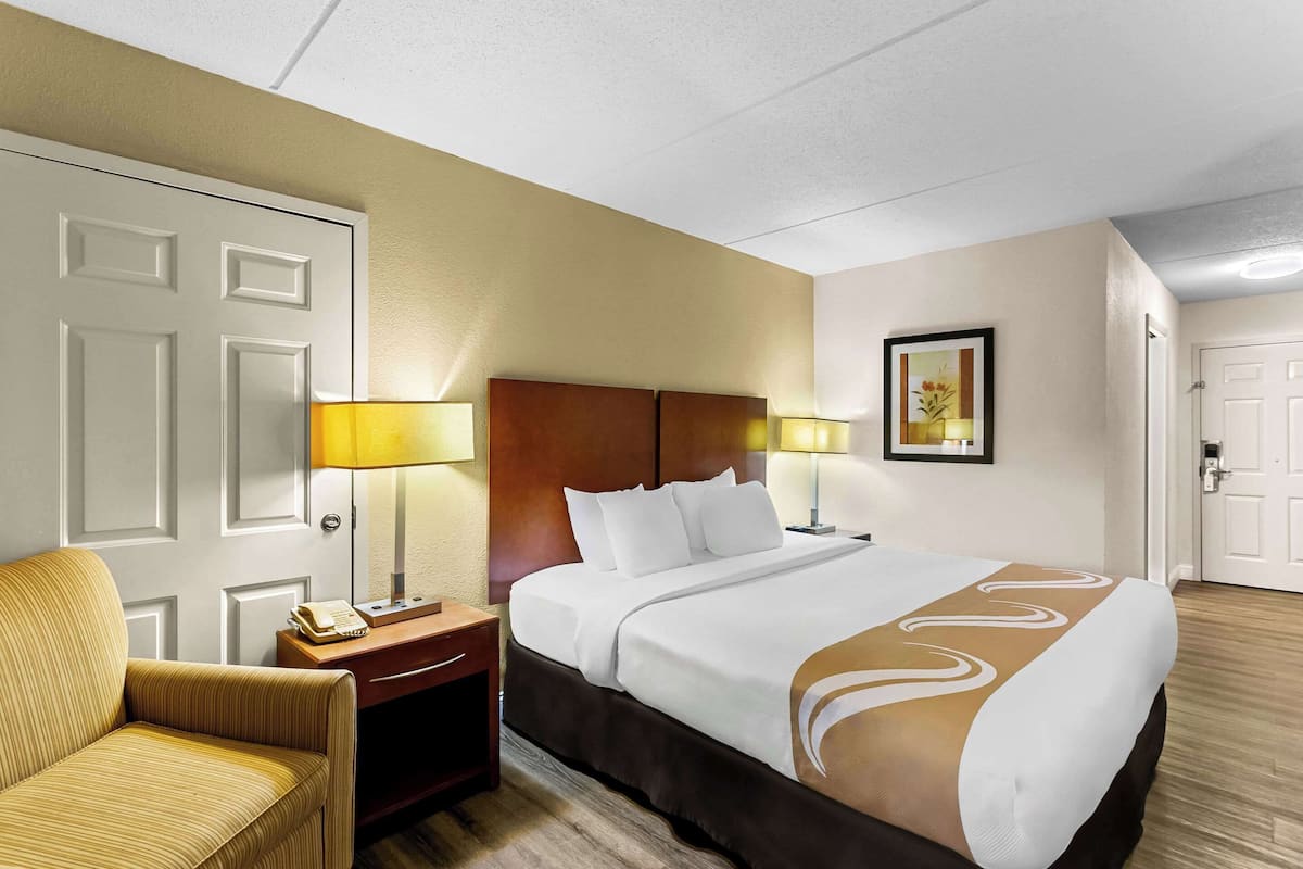 Room, 1 King Bed, Non Smoking | Desk, laptop workspace, blackout curtains, iron/ironing board