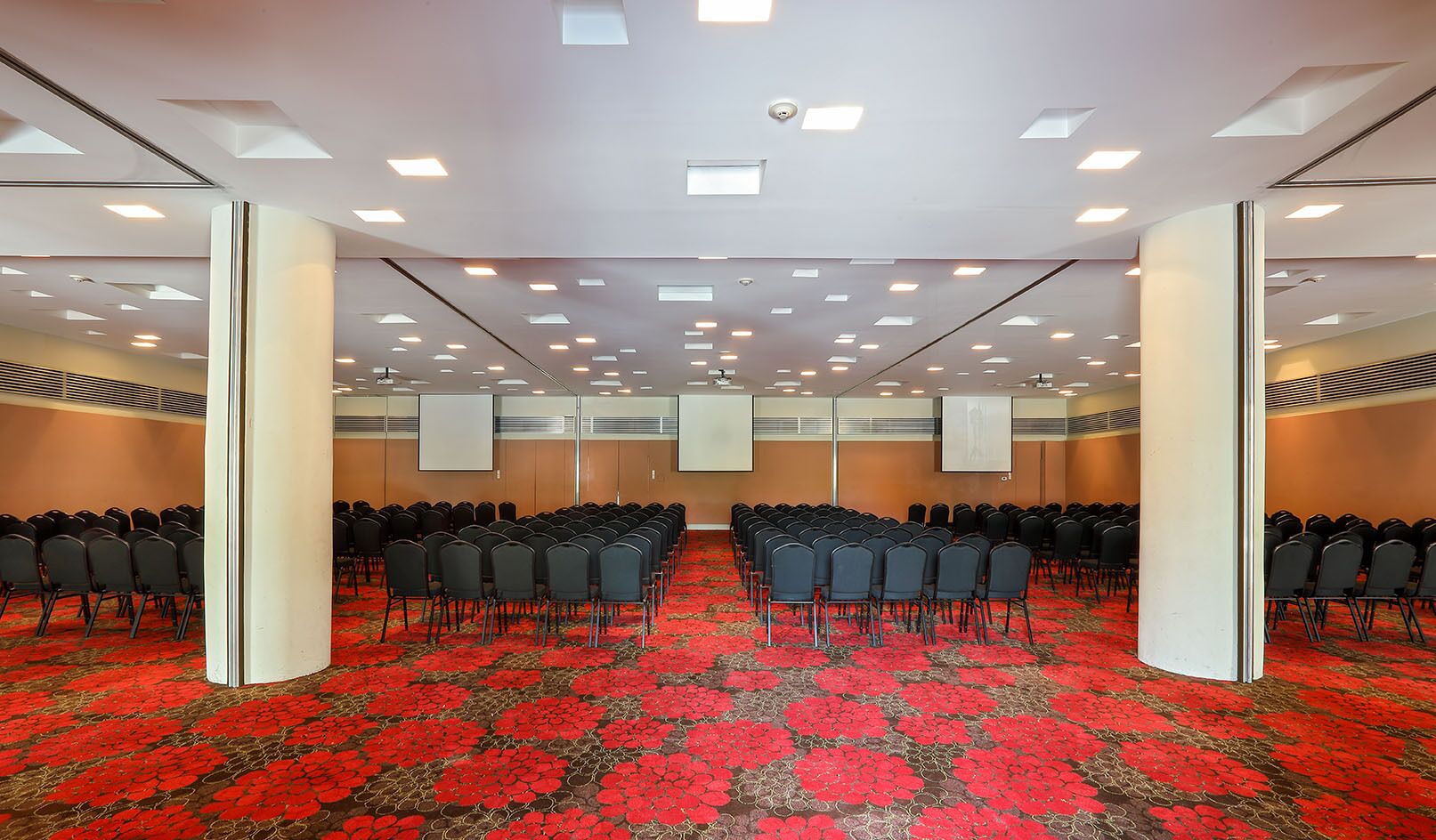 A conference room with rows of chairs, a red carpet, and ceiling lights.