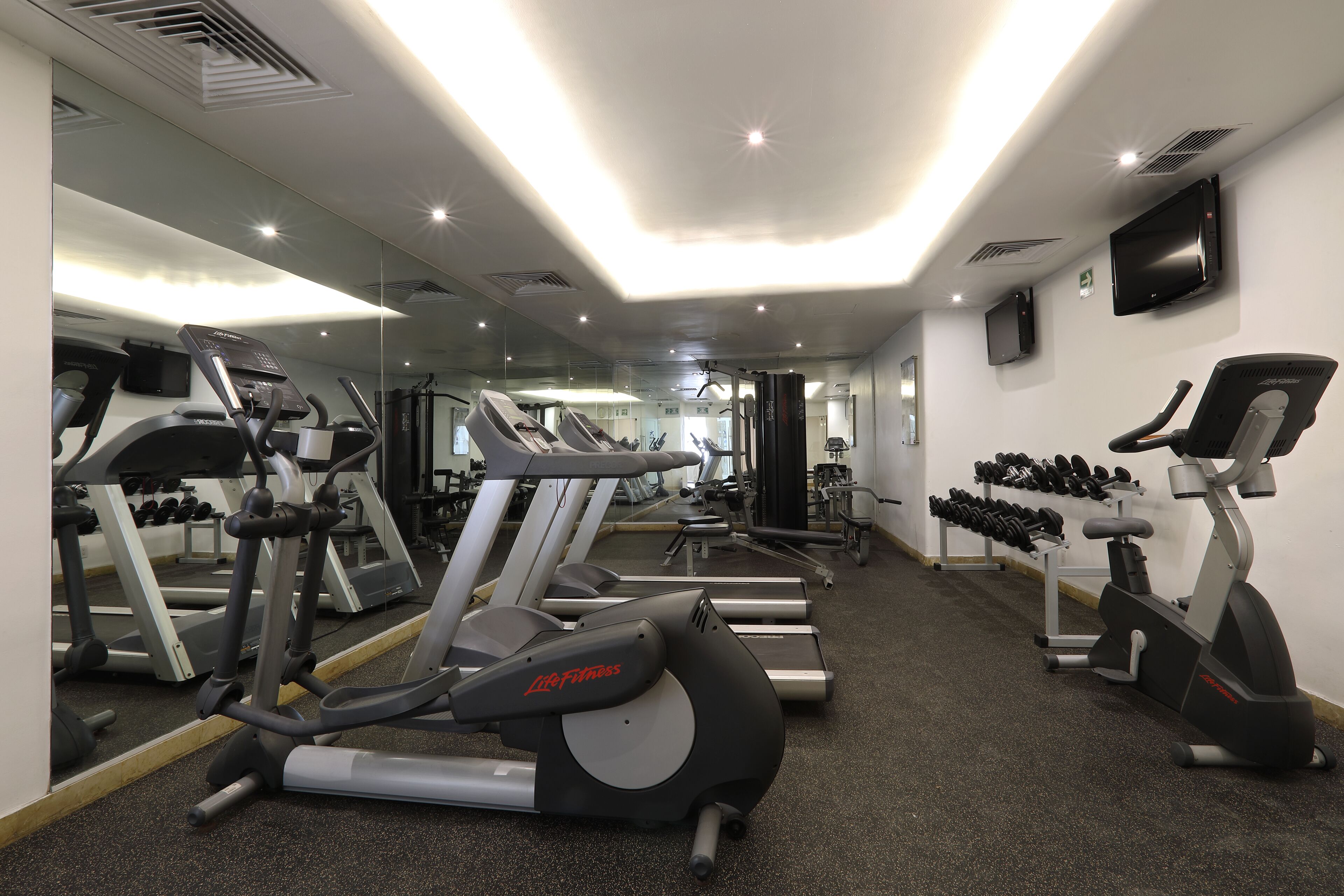 A gym with treadmills, elliptical machines, and dumbbells.