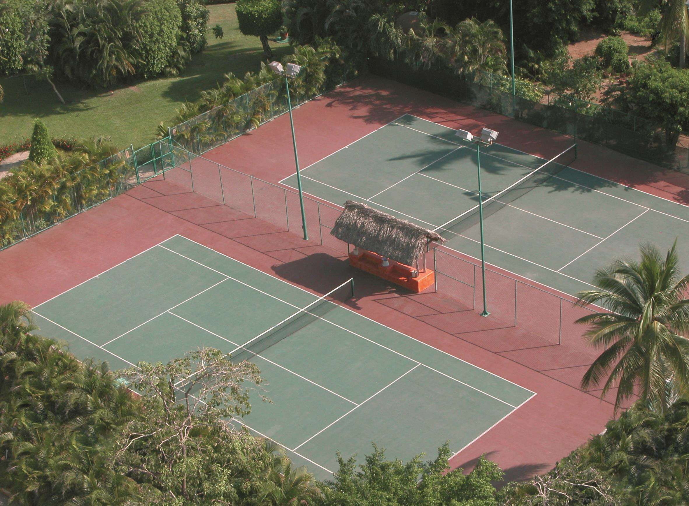 Una cancha de tenis al aire libre con un pabellón de techo de paja, rodeada de palmeras y follaje.