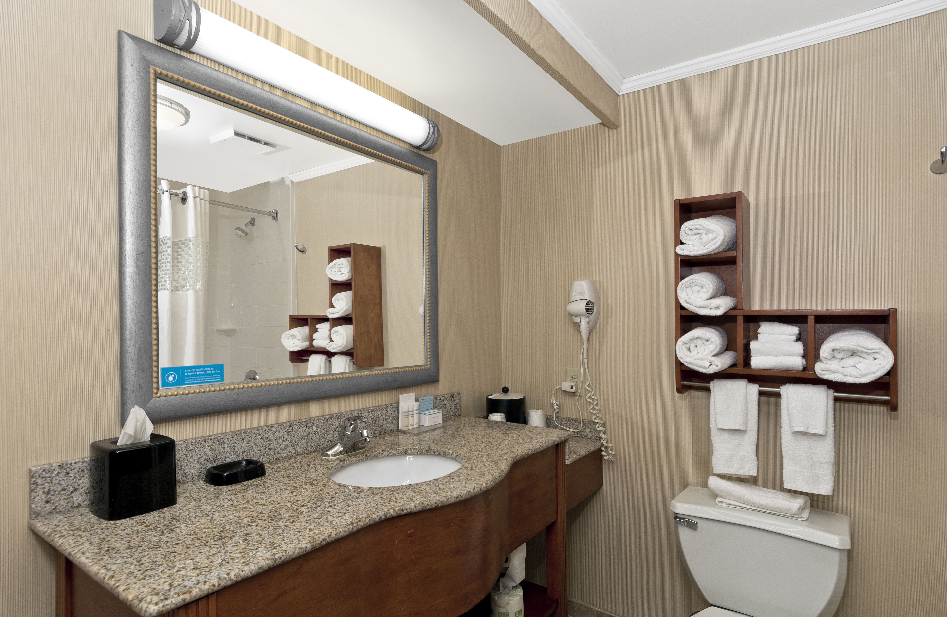 A hotel bathroom with a sink, mirror, towel rack, and toilet.