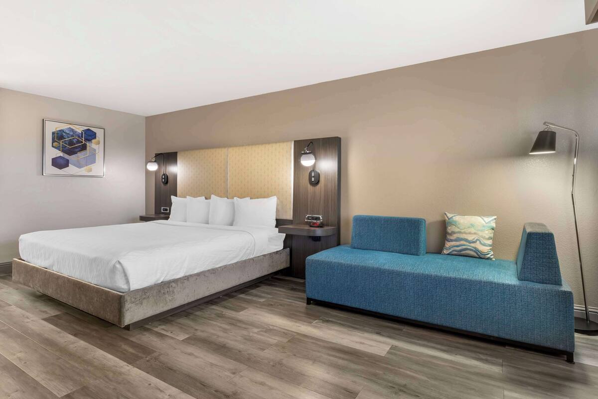 A hotel room with a bed, a blue sofa, a nightstand, a lamp, and a wall-mounted artwork.