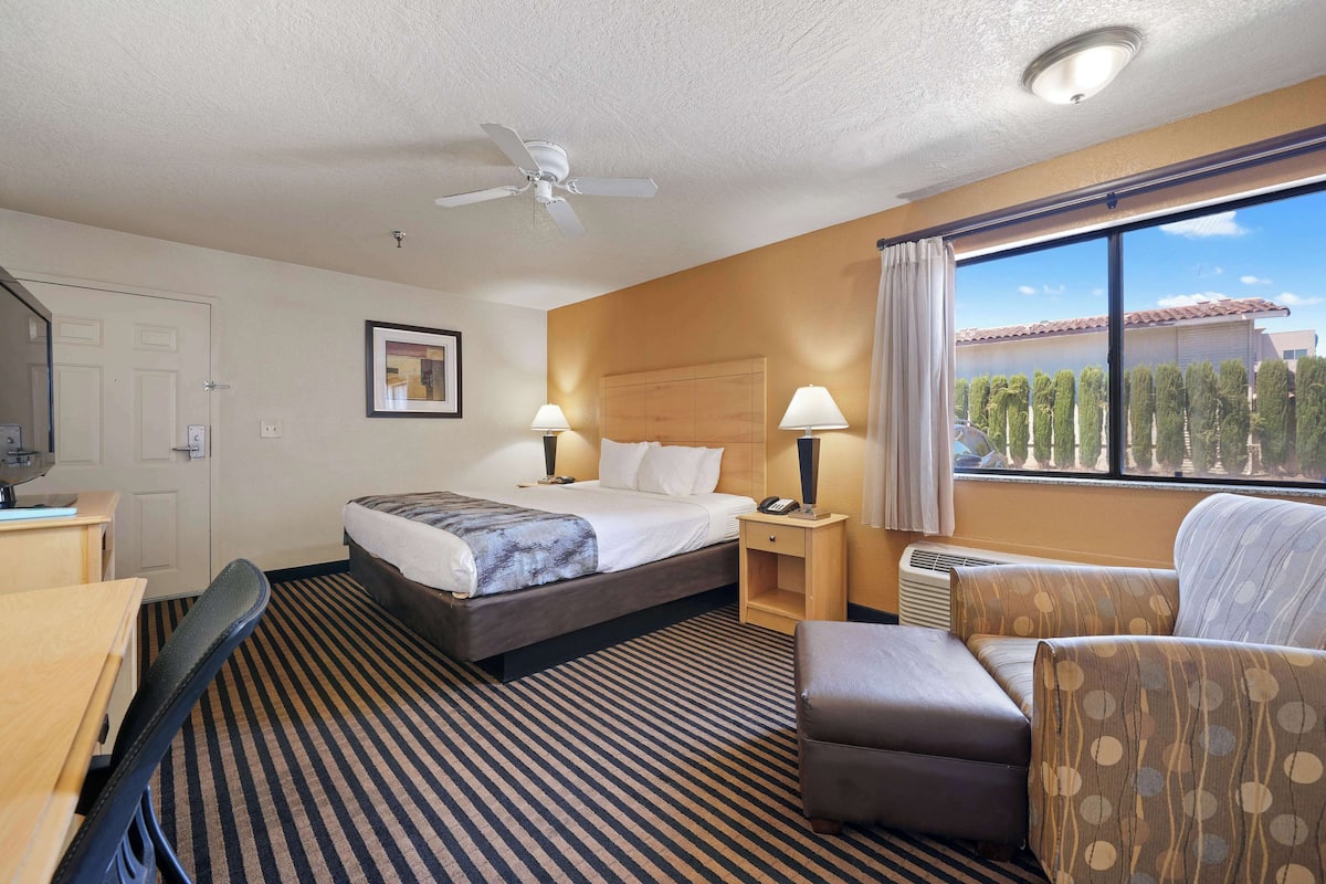 A hotel room with a bed, a desk, a chair, a sofa, a ceiling fan, a window with a view, and a framed picture on the wall.
