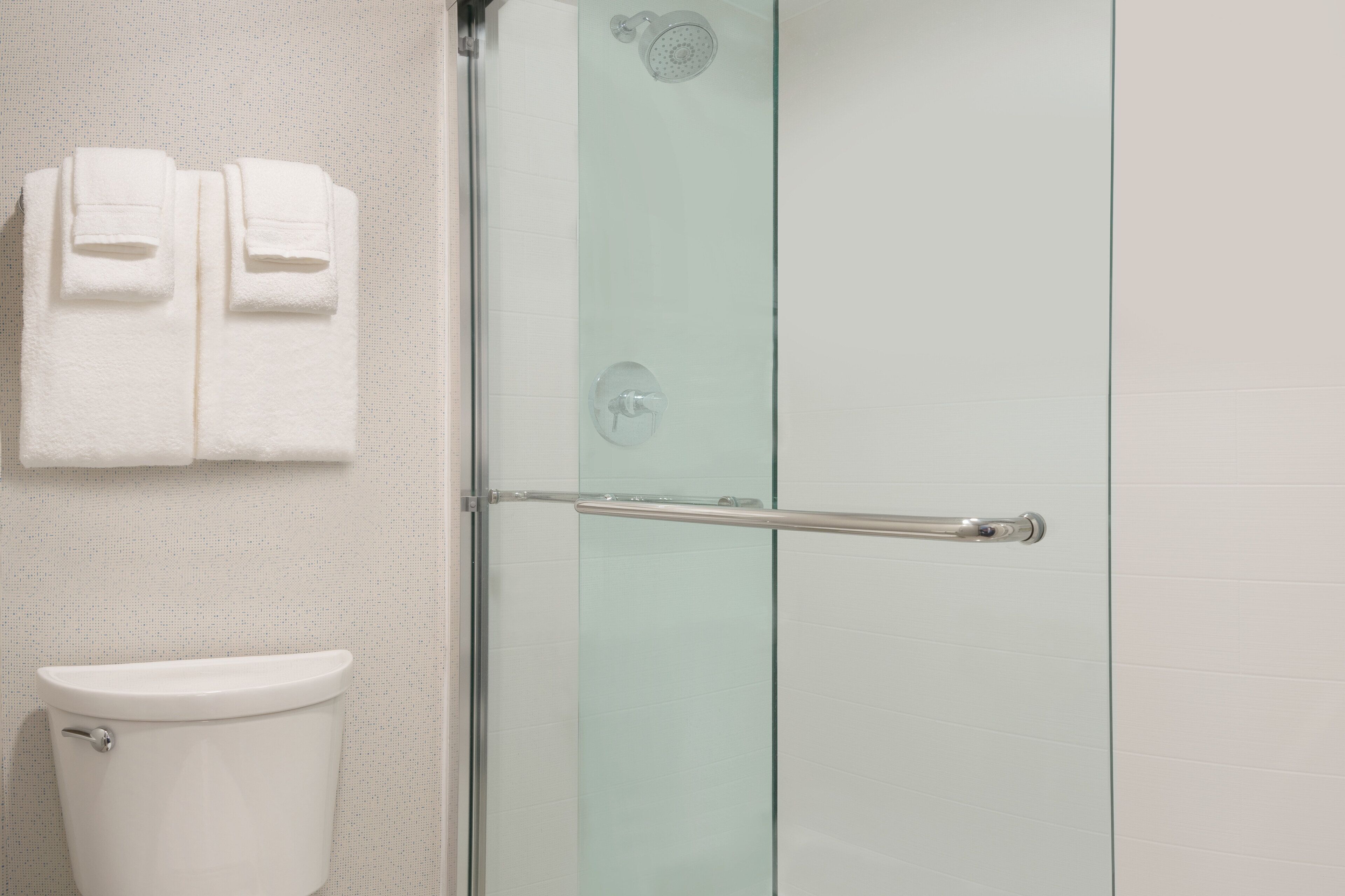 A bathroom with a glass shower enclosure, a toilet, and two towels hanging on a towel rack.