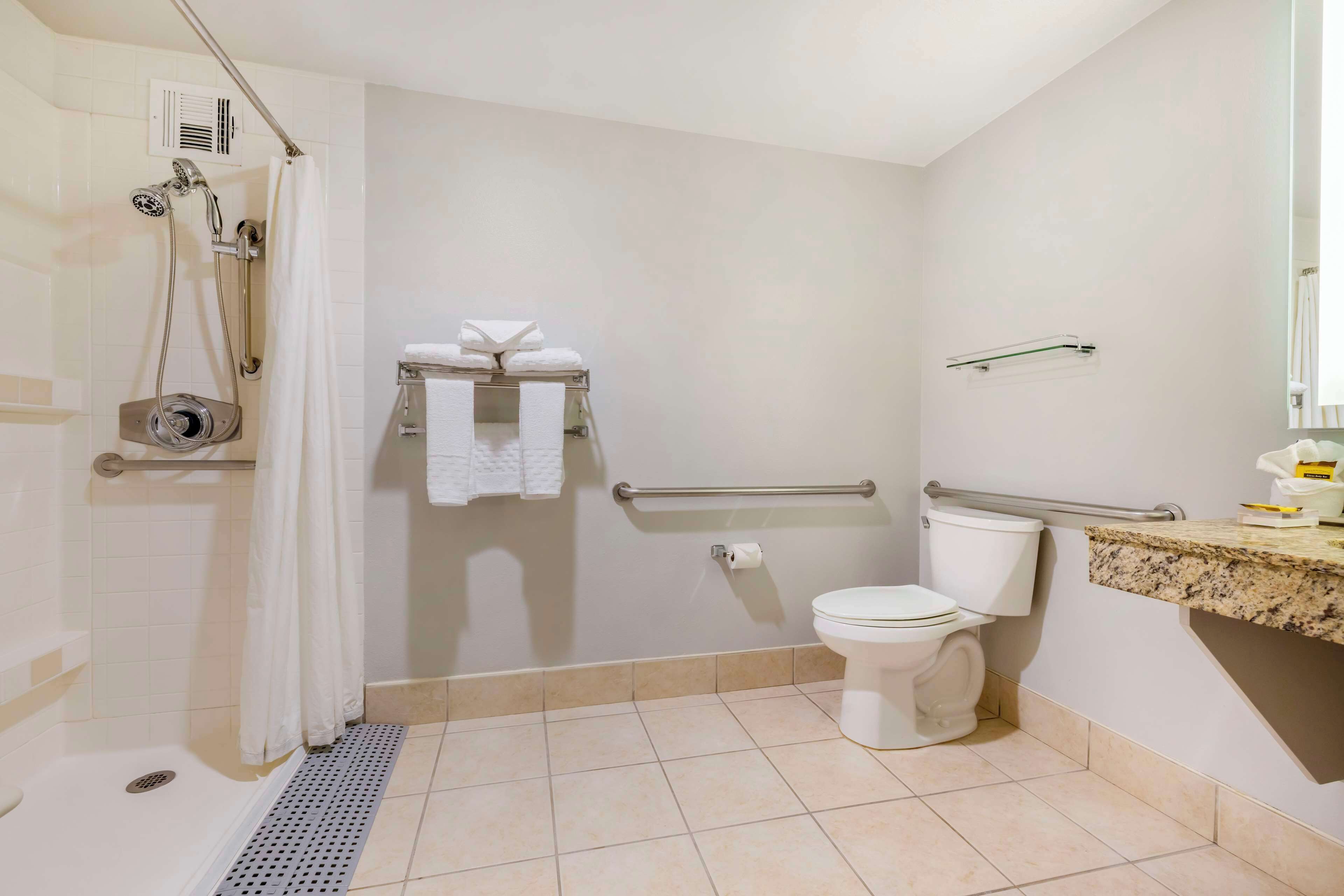 standard room, 1 king bed, accessible, refrigerator & microwave | bathroom | combined shower/bathtub, eco-friendly toiletries, hair dryer, towels