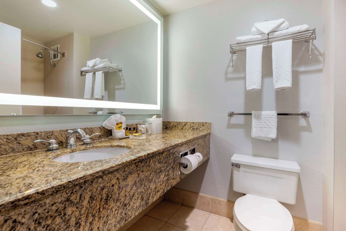 Combined shower/tub, eco-friendly toiletries, hair dryer, towels