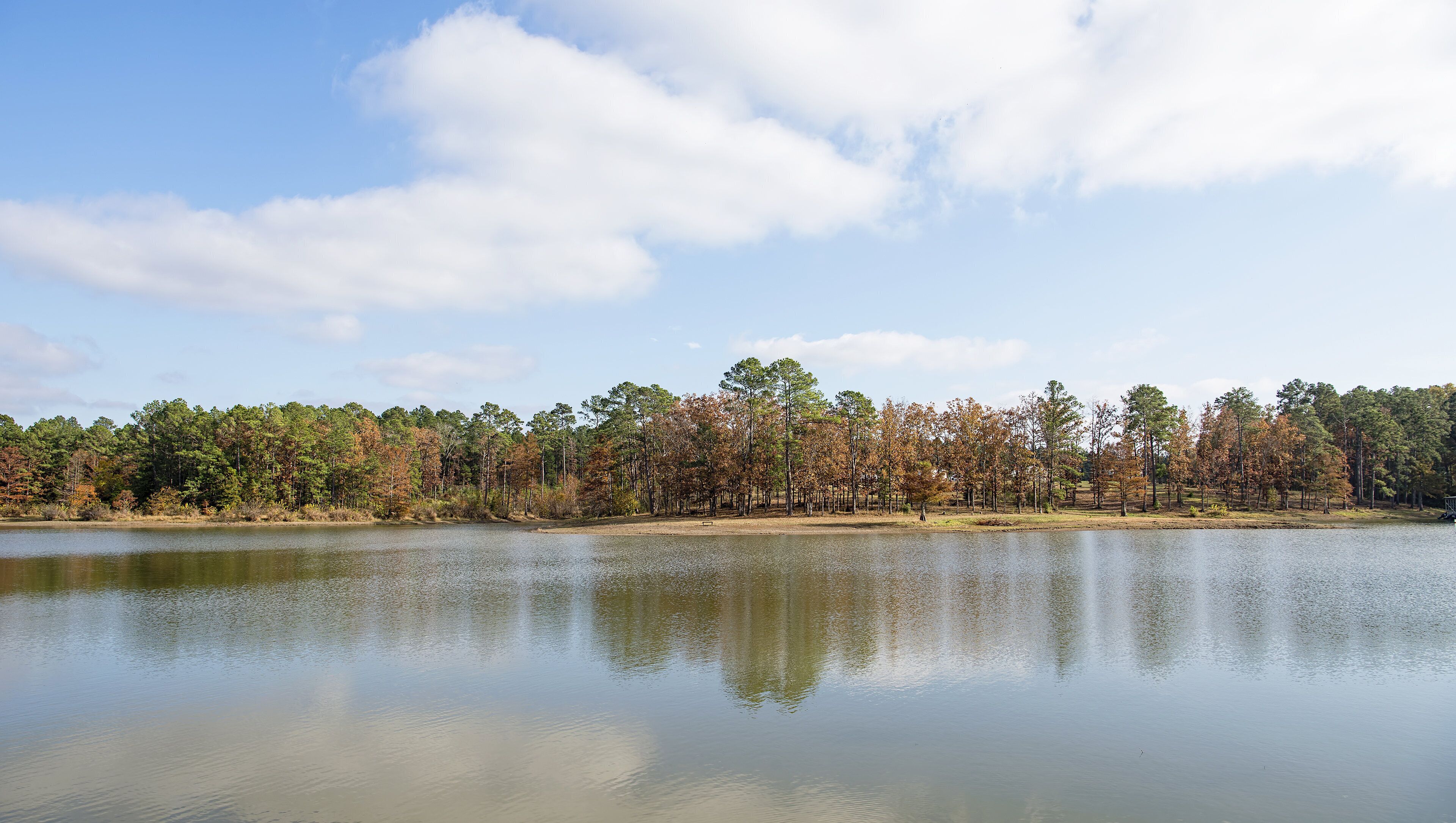 Un lac paisible, bordé d’une forêt et surplombé d’un ciel dégagé.