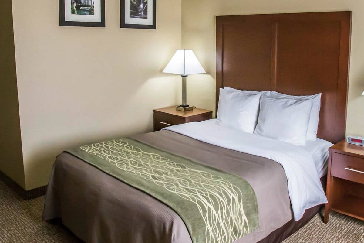 Standard Room, 1 Queen Bed, Accessible, Non Smoking