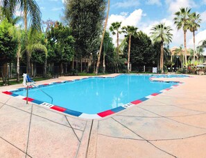 Outdoor pool, pool umbrellas, pool loungers