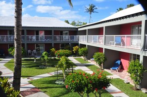Habitación básica, 1 cama de matrimonio grande, vistas al jardín | Jardín