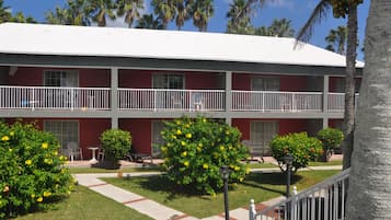 Basic Room, 1 King Bed, Garden View | View from room