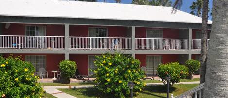 A multi-story building with a red facade, balconies, and a well-maintained garden with yellow flowers and palm trees.
