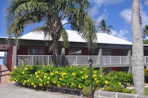 Standard Room, 1 King Bed, Garden View | Garden view