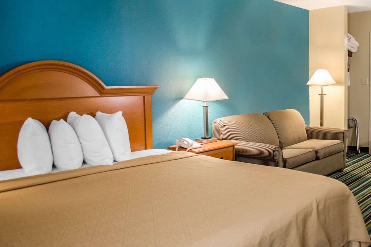 Room, 1 King Bed, Non Smoking