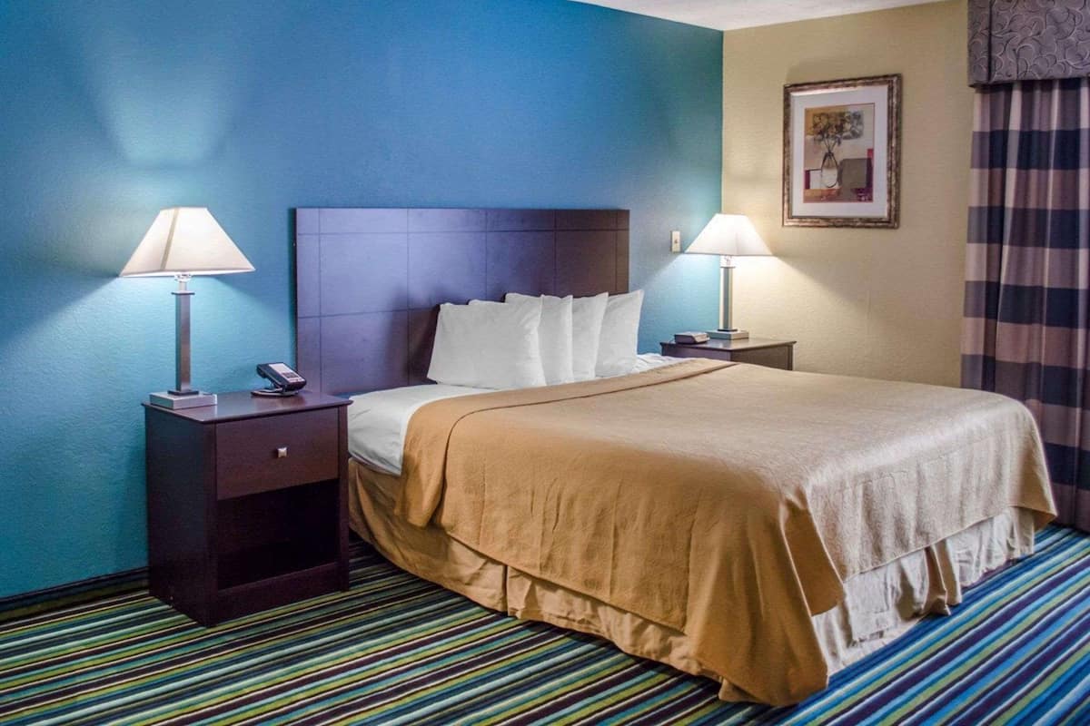 Room, 1 King Bed with Sofa bed, Non Smoking, Jetted Tub
