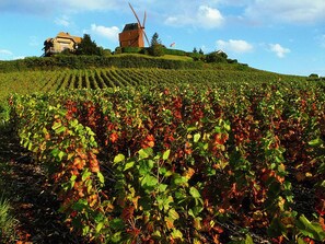 Miscellaneous - ibis Styles Reims Centre Cathédrale (Reims)