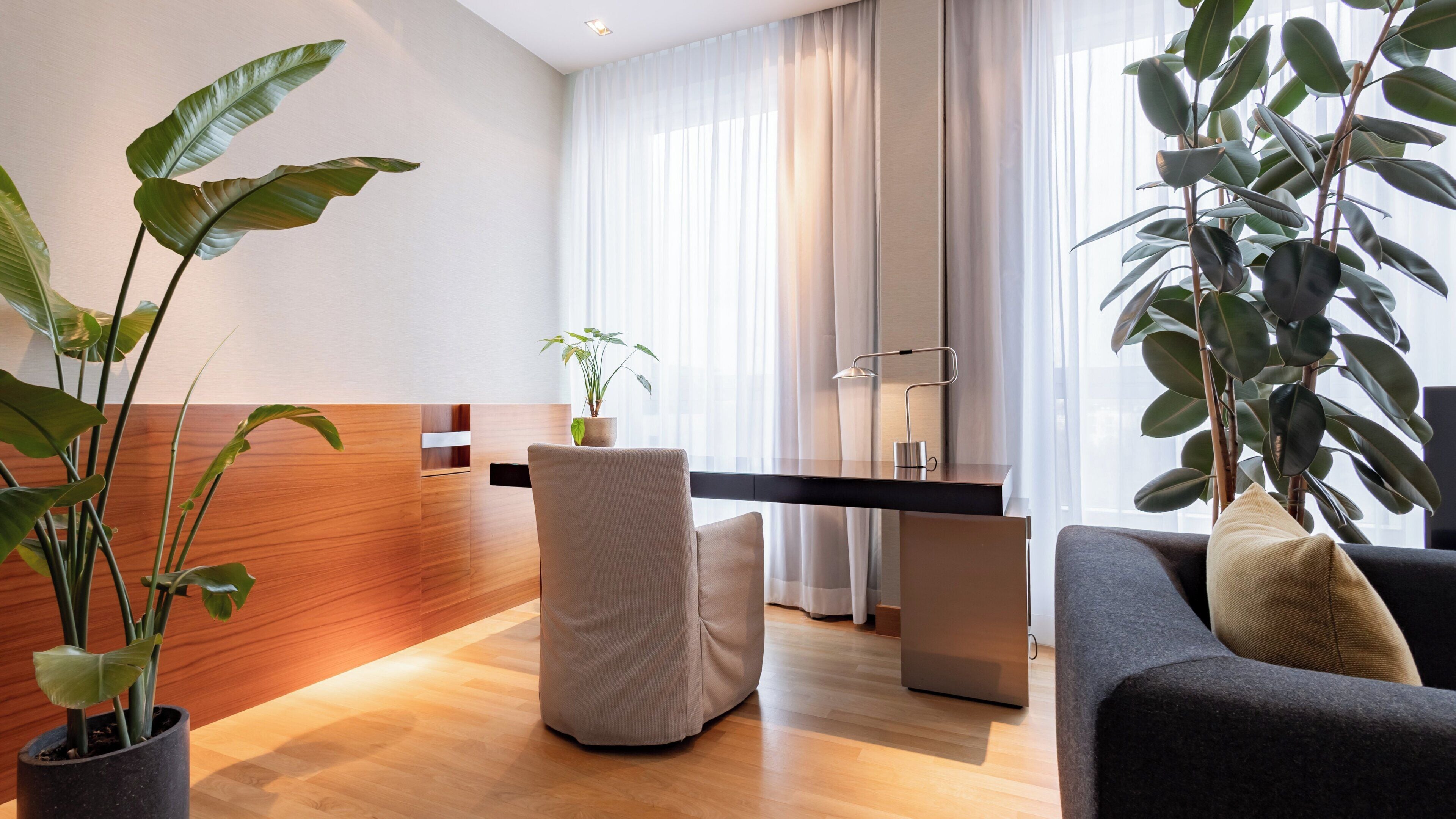 A modern hotel room with a wooden accent wall, a desk with a chair, a sofa, and large potted plants.