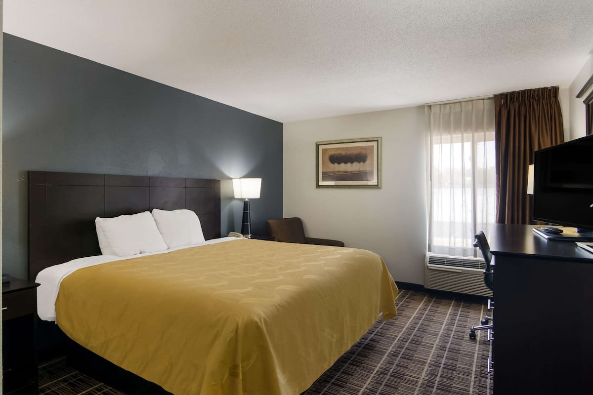 A hotel room with a large bed, a desk, a chair, a TV, a lamp, and a painting on the wall.