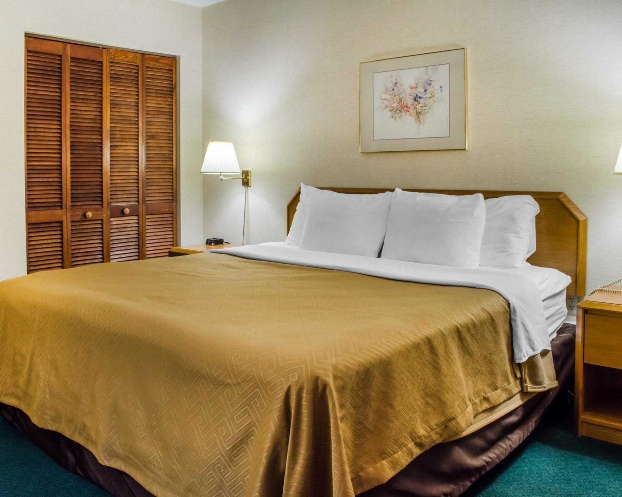 Une chambre d’hôtel avec un grand lit, une tête de lit en bois, une table de chevet, une lampe, une œuvre d’art encadrée au mur et une armoire avec des portes coulissantes.