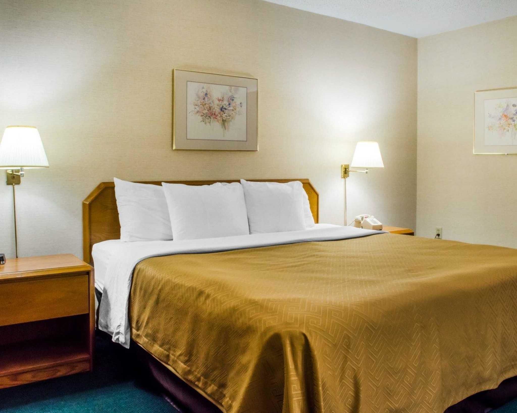 A hotel room with a bed, two bedside lamps, a nightstand, and two framed floral artworks on the walls.