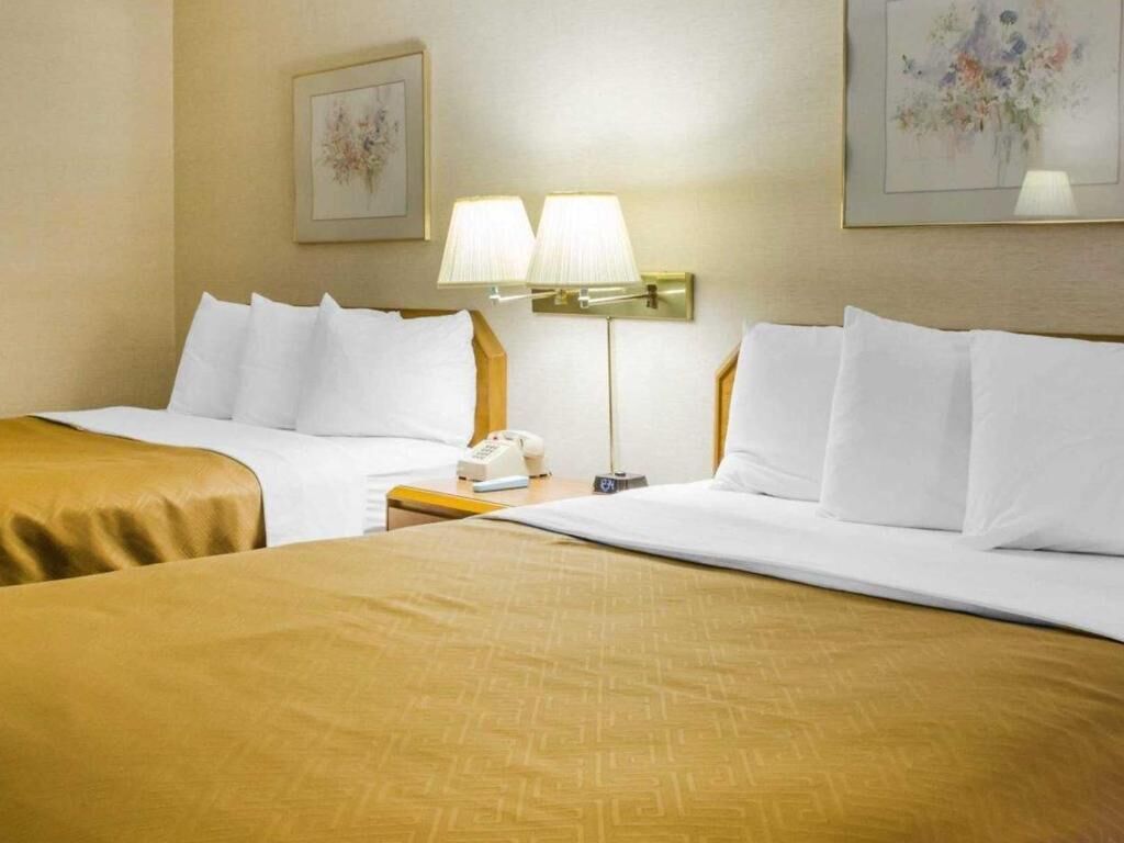 Individually furnished, laptop workspace, blackout drapes