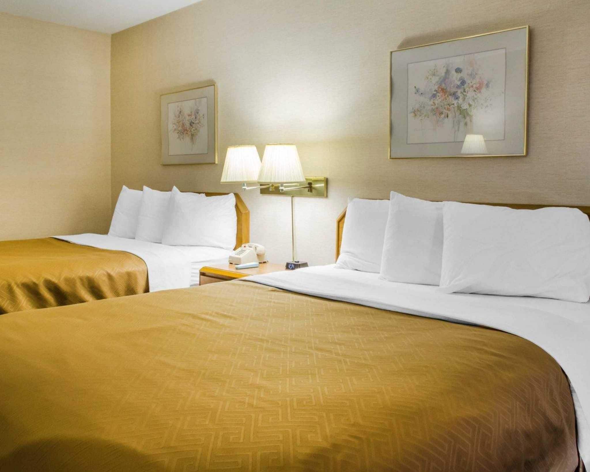 A hotel room with two beds, a nightstand with a lamp, and two framed floral paintings on the wall.