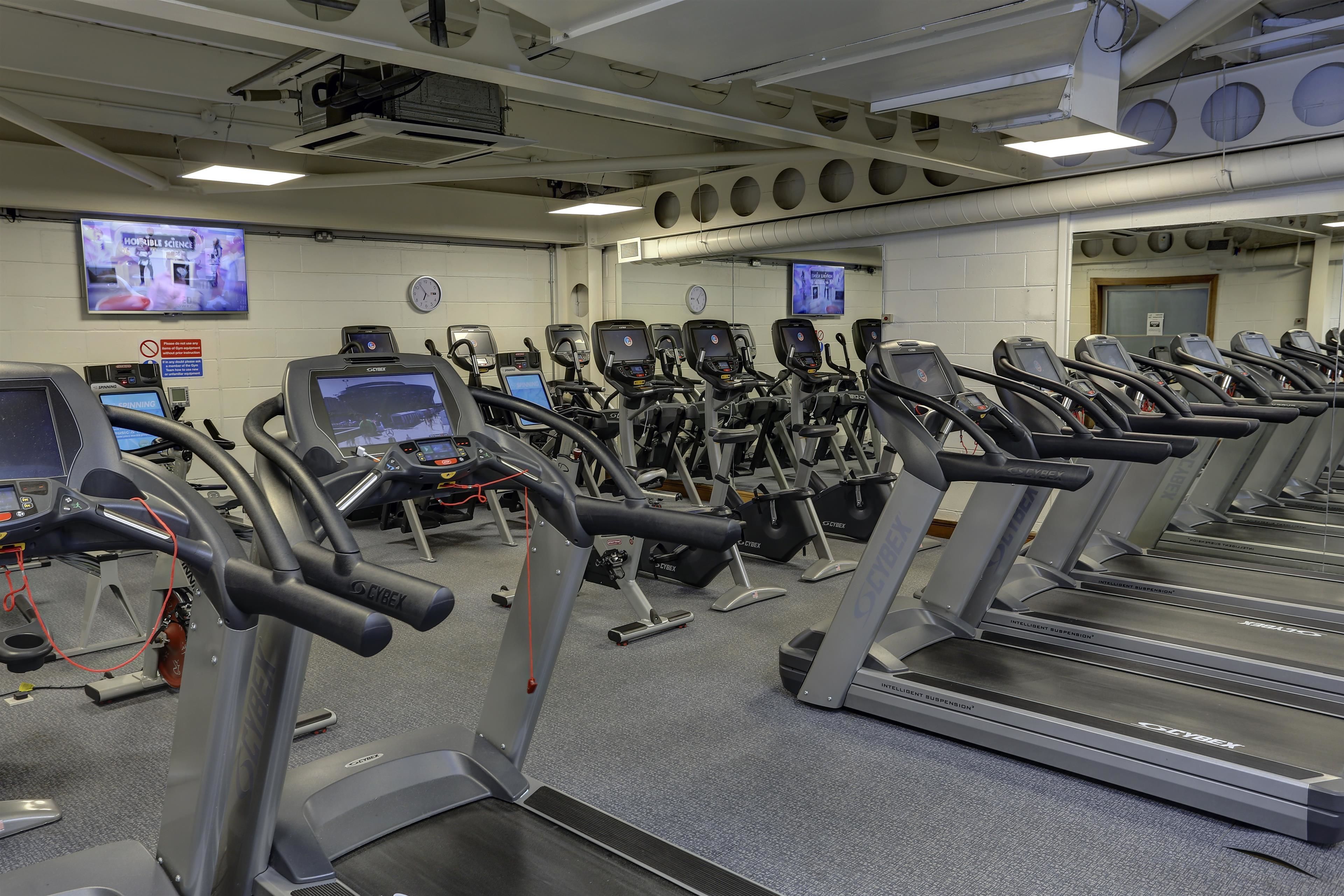 A gym with multiple treadmills, exercise bikes, and cardio machines.