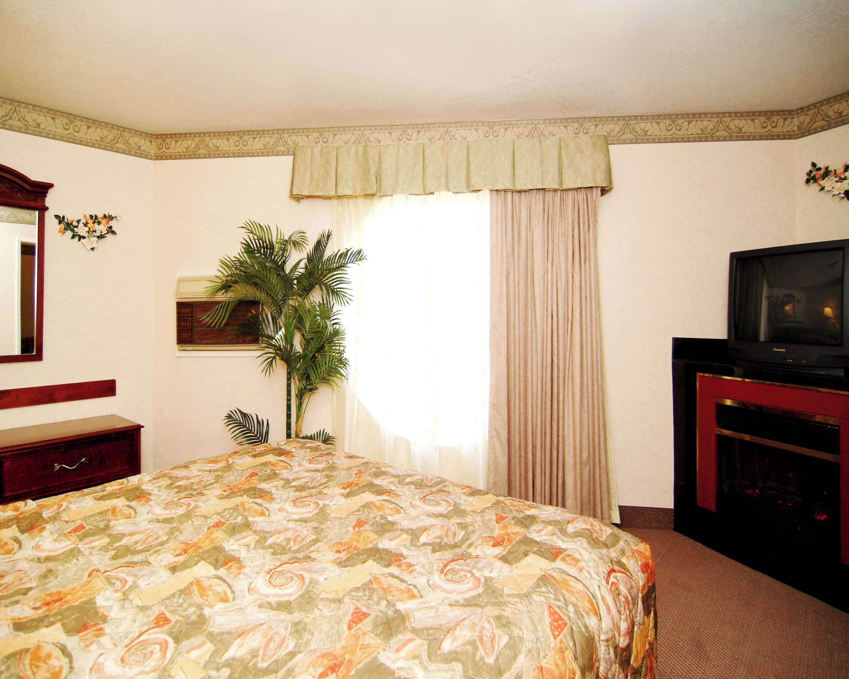 A hotel room with a bed, a television, a desk, a mirror, a plant, and a window with curtains.