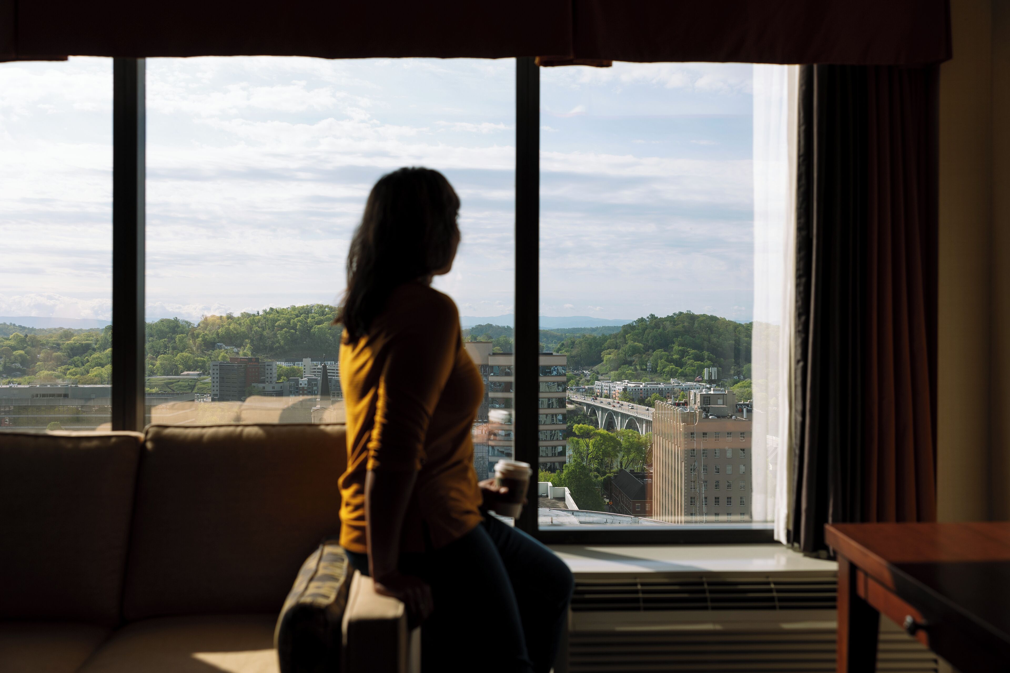 parlor, king murphy bed and sofa bed | mountain view