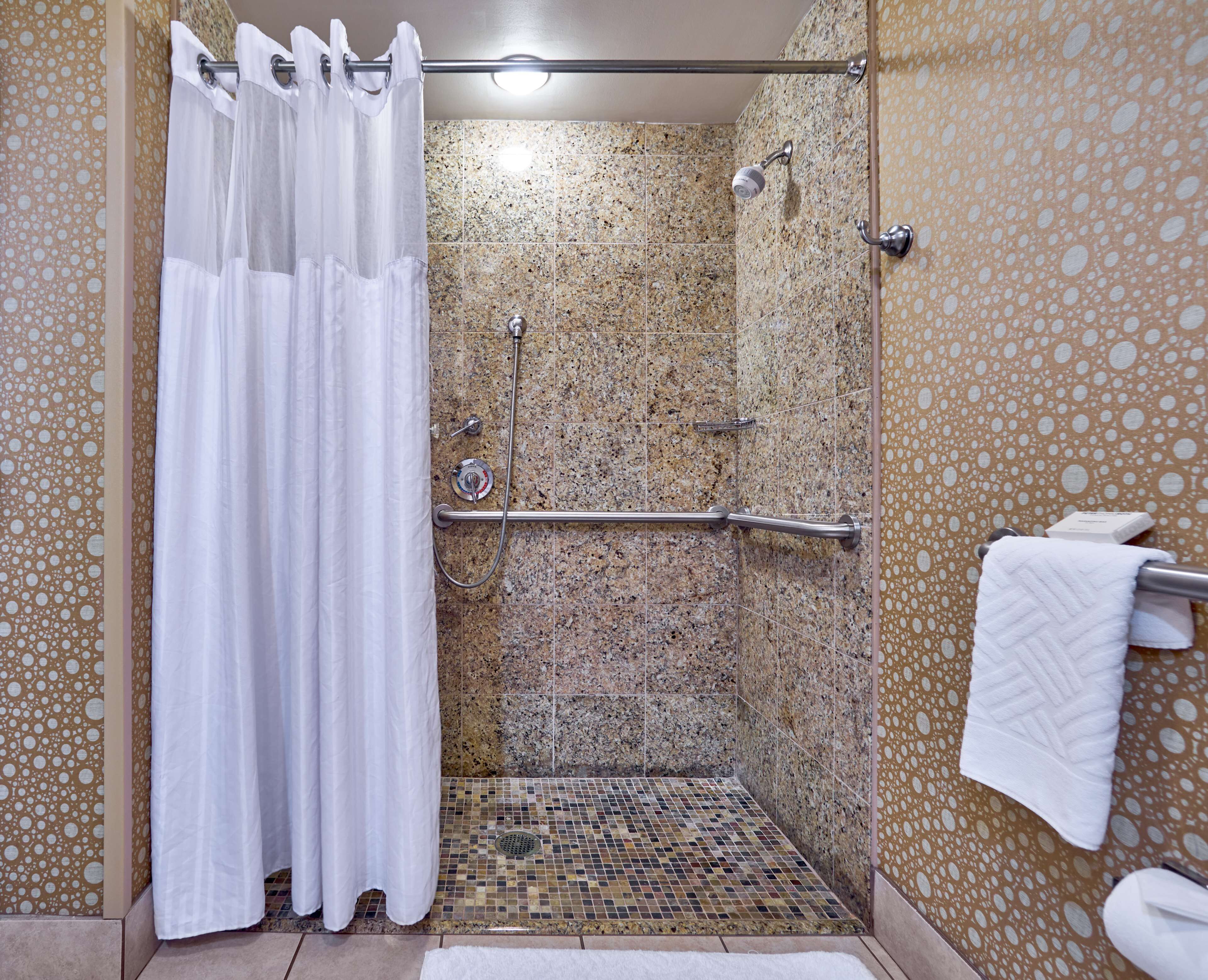 room, 1 king bed accessible (roll-in shower) | bathroom | combined shower/bathtub, eco-friendly toiletries, hair dryer, towels