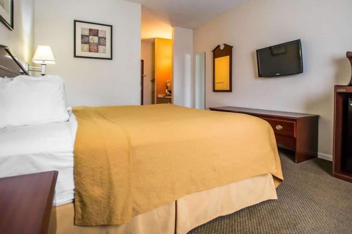 A hotel room with a bed, a desk, a television, and a framed picture on the wall.