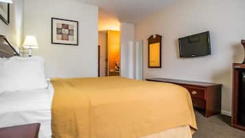 A hotel room with a bed, a desk, a television, and a framed picture on the wall.