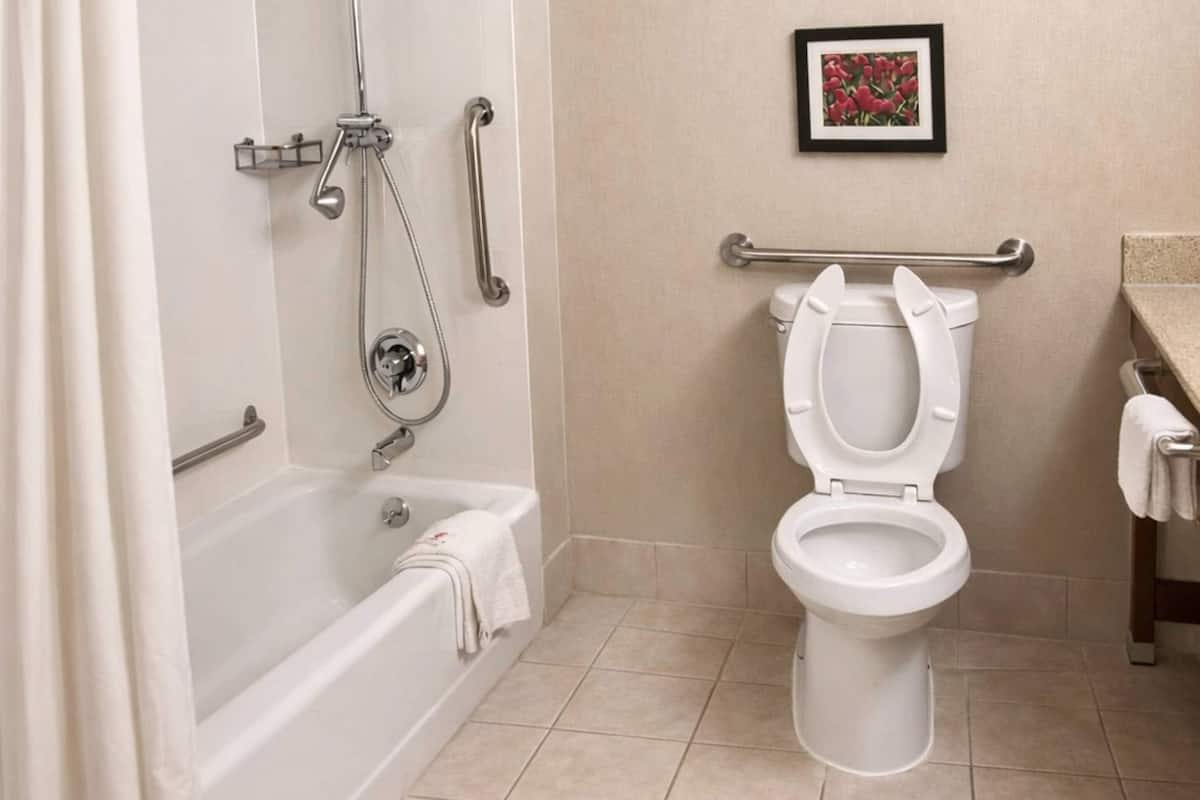 Suite, 1 Queen Bed with Sofa bed, Accessible, Non Smoking | In-room safe, desk, laptop workspace, blackout drapes