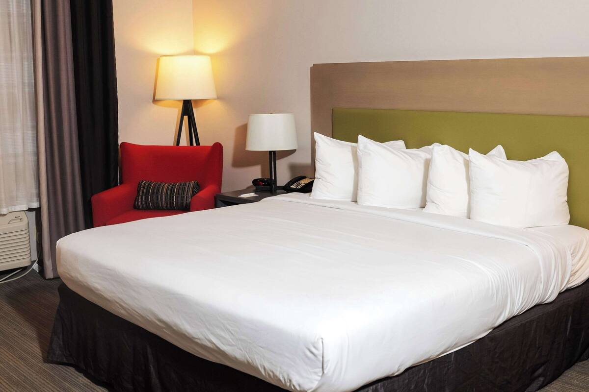 room, 1 king bed, non smoking | hypo-allergenic bedding, desk, laptop workspace, iron/ironing board