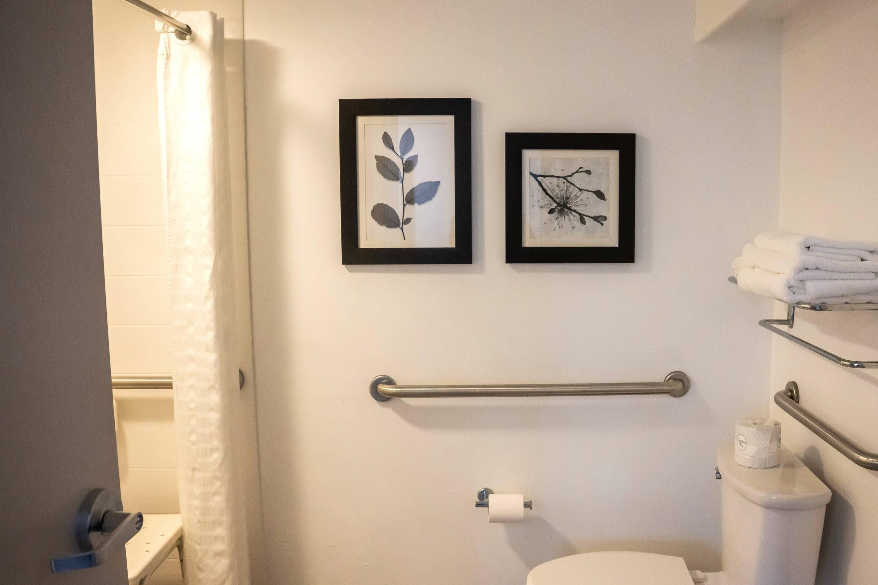 A bathroom with a toilet, a handrail, and two framed pictures on the wall.