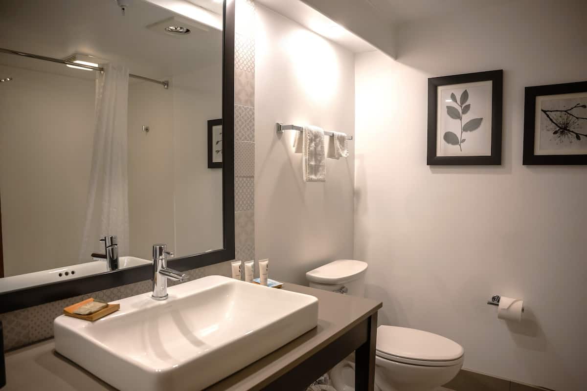 combined shower/bathtub, eco-friendly toiletries, hair dryer, towels
