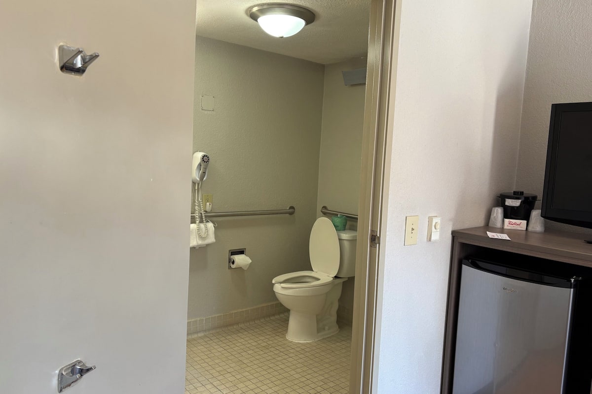 deluxe room, 1 king bed, accessible, non smoking (roll-in shower) | bathroom | eco-friendly toiletries, hair dryer, towels, soap