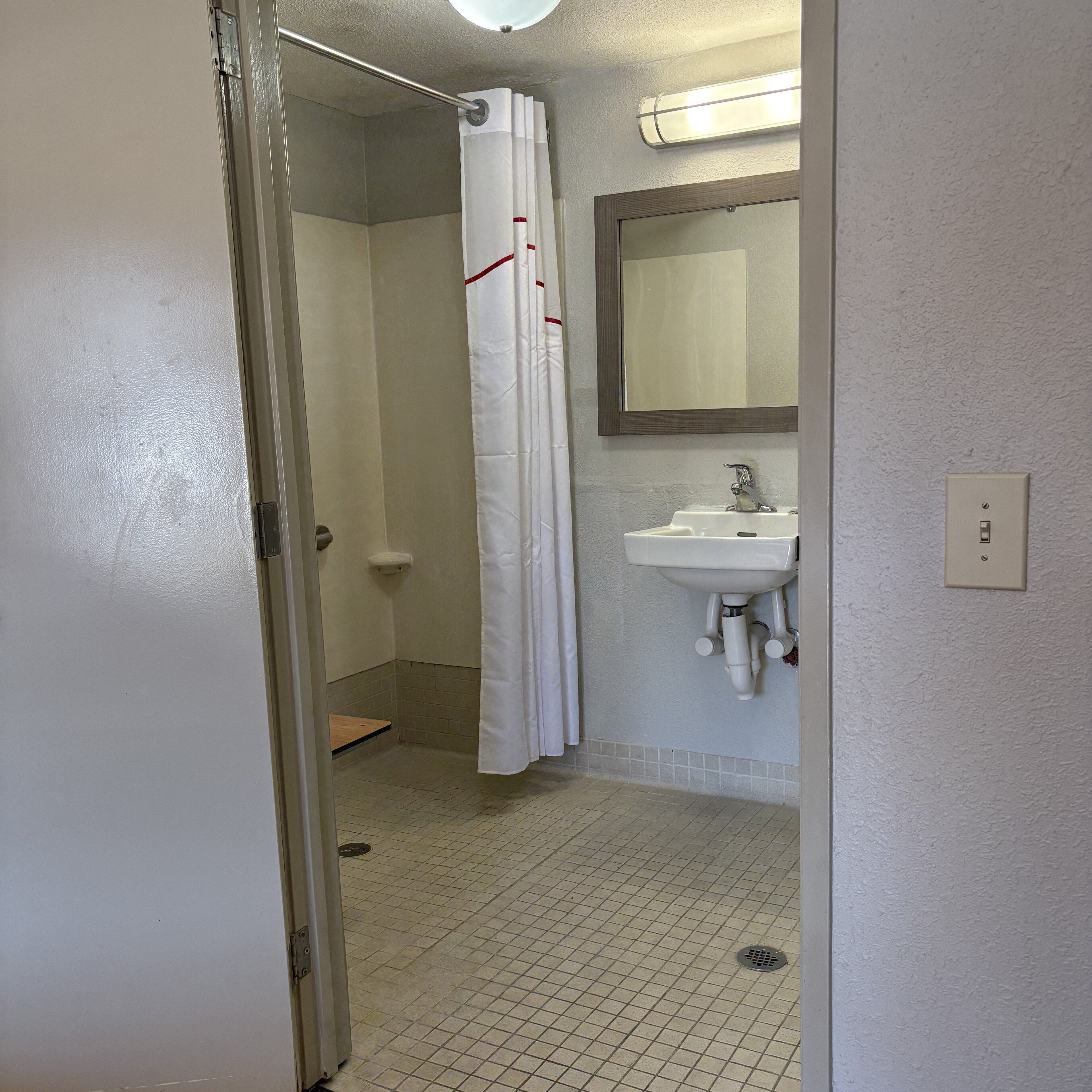 deluxe room, 1 king bed, accessible, non smoking (roll-in shower) | bathroom | eco-friendly toiletries, hair dryer, towels, soap