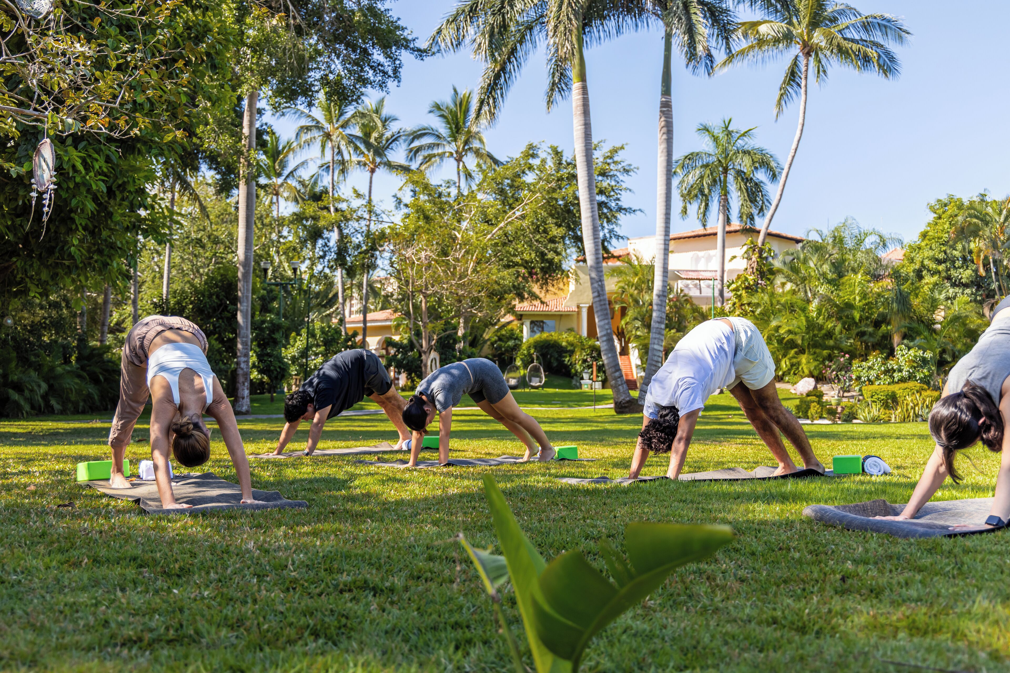 Un groupe de personnes pratiquant le yoga sur des tapis, dans un espace verdoyant agrémenté de palmiers et avec un bâtiment en arrière-plan.