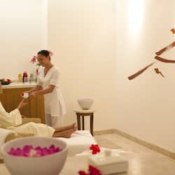 Outdoor treatment areas, sauna, hot tub, body treatments, mud baths