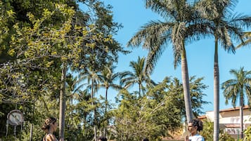 A group of people performing yoga in an outdoor setting with palm trees and a clear sky.