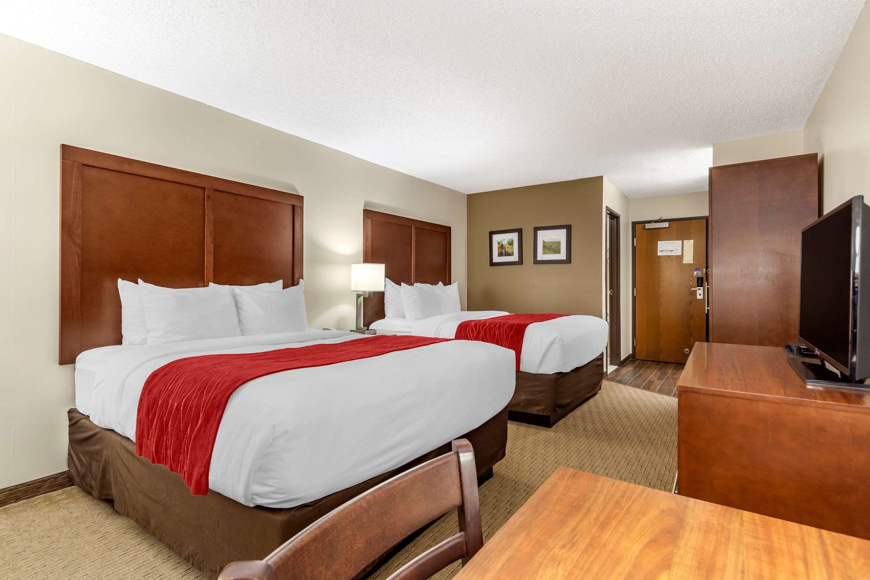 standard room, 2 queen beds, non smoking | premium bedding, blackout curtains, iron/ironing board, free wifi